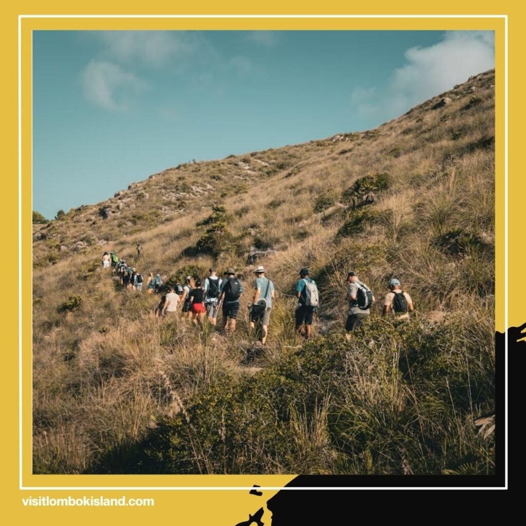 Cara Booking Online Gunung Rinjani Terbaru Panduan Lengkap untuk Pendaki